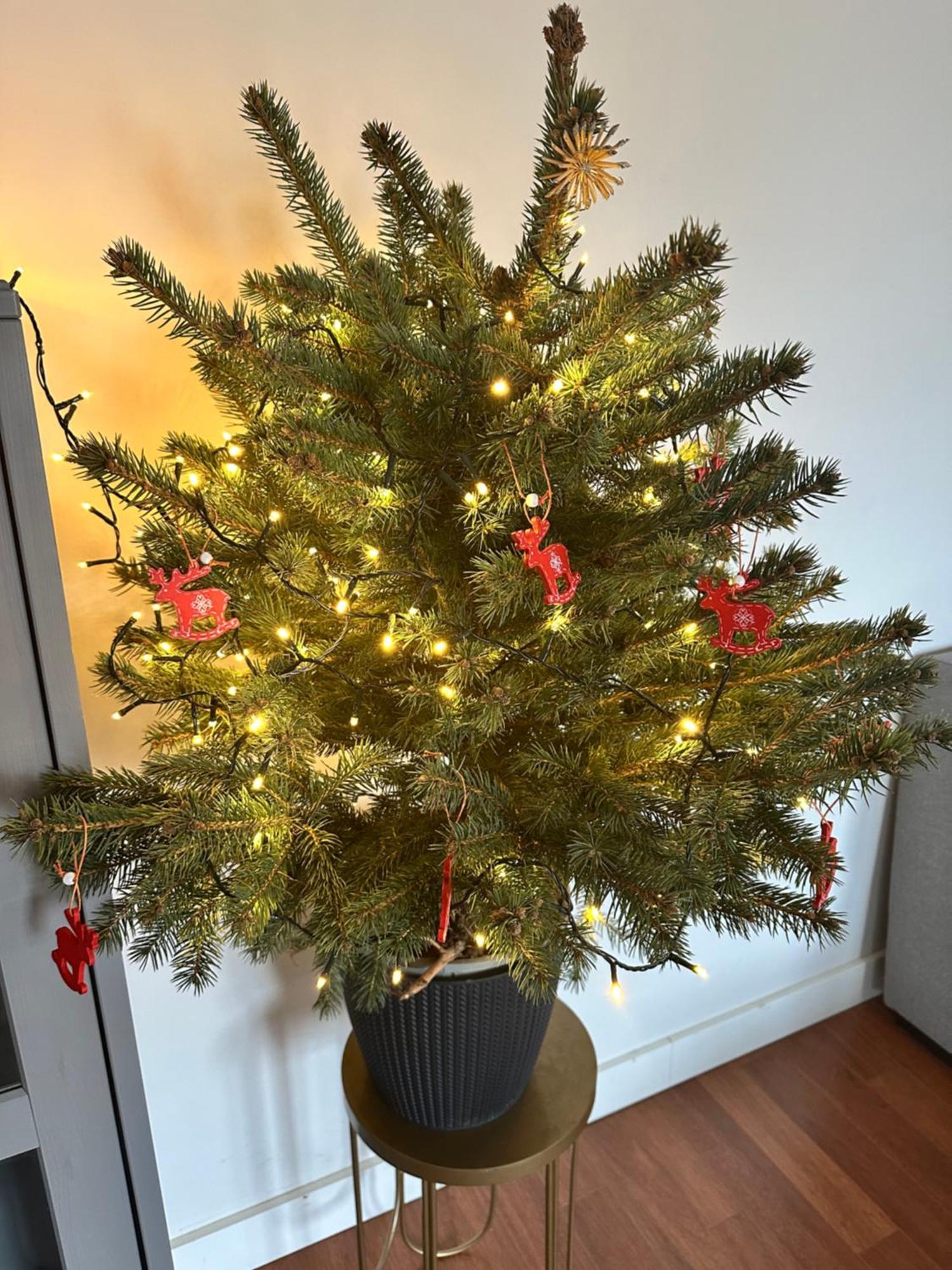 Apartament Sopot Extérieur photo